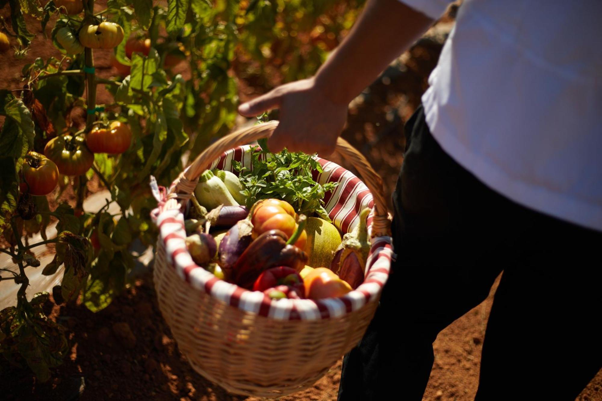 Farm stay Canto De Marina - Adults Only *
